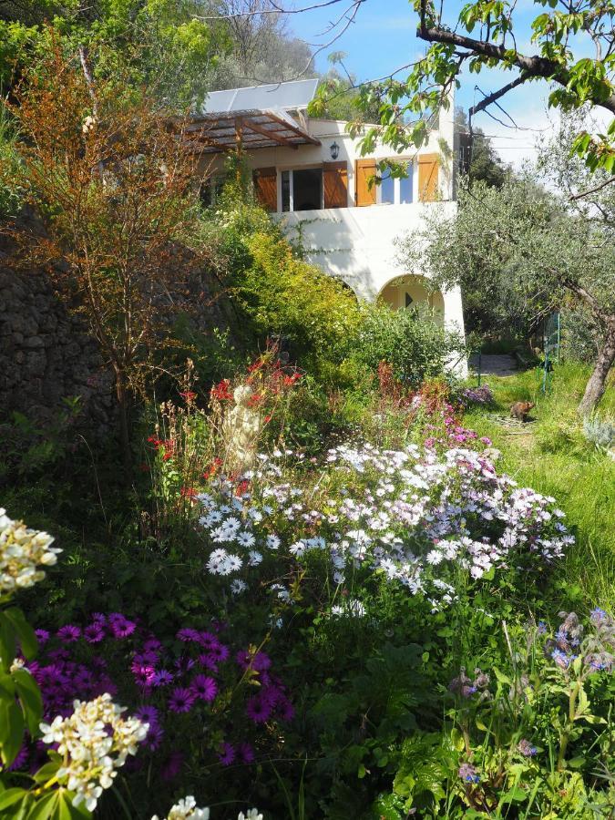 Modestie Villa Breil-sur-Roya Luaran gambar