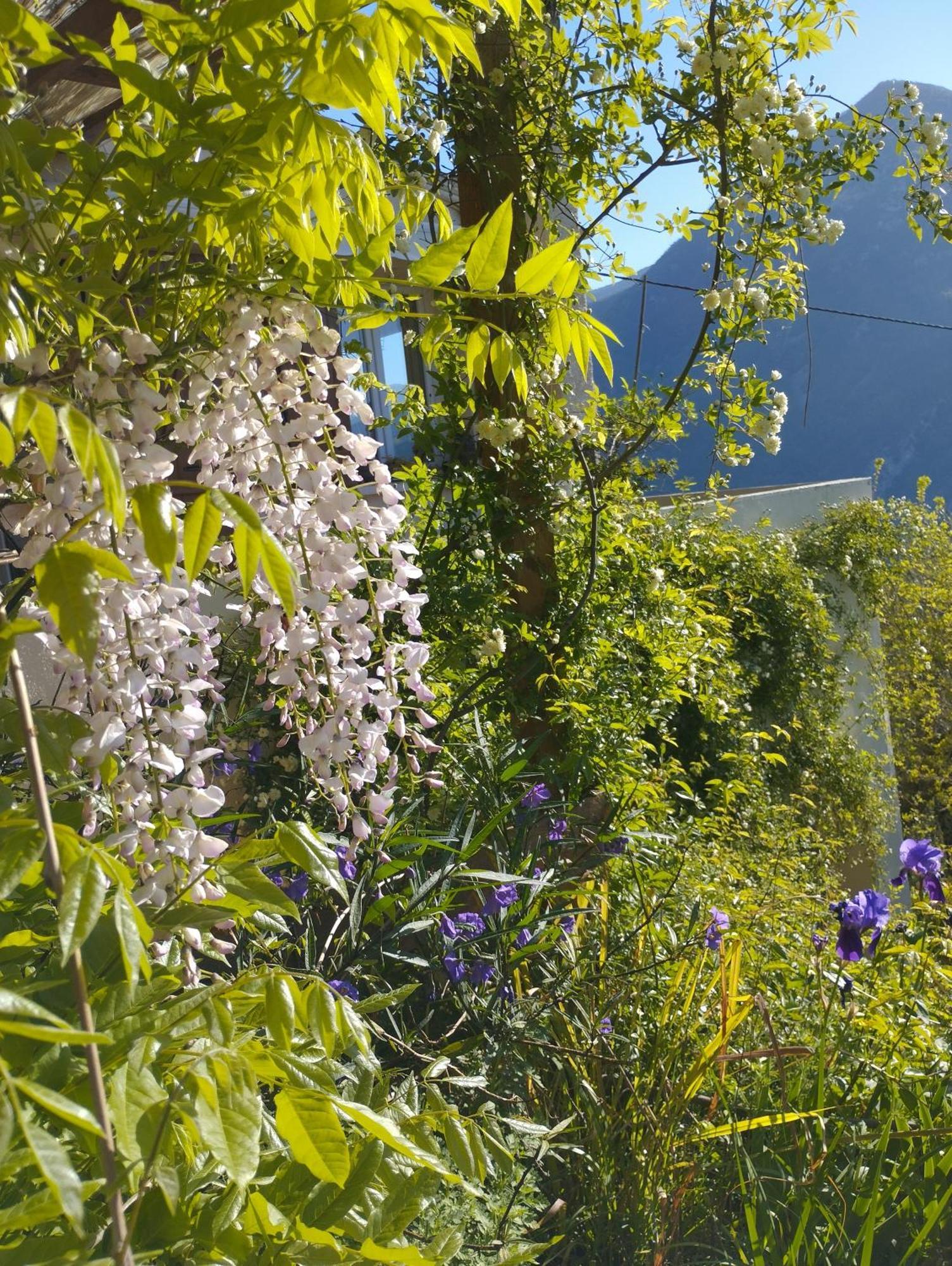 Modestie Villa Breil-sur-Roya Luaran gambar