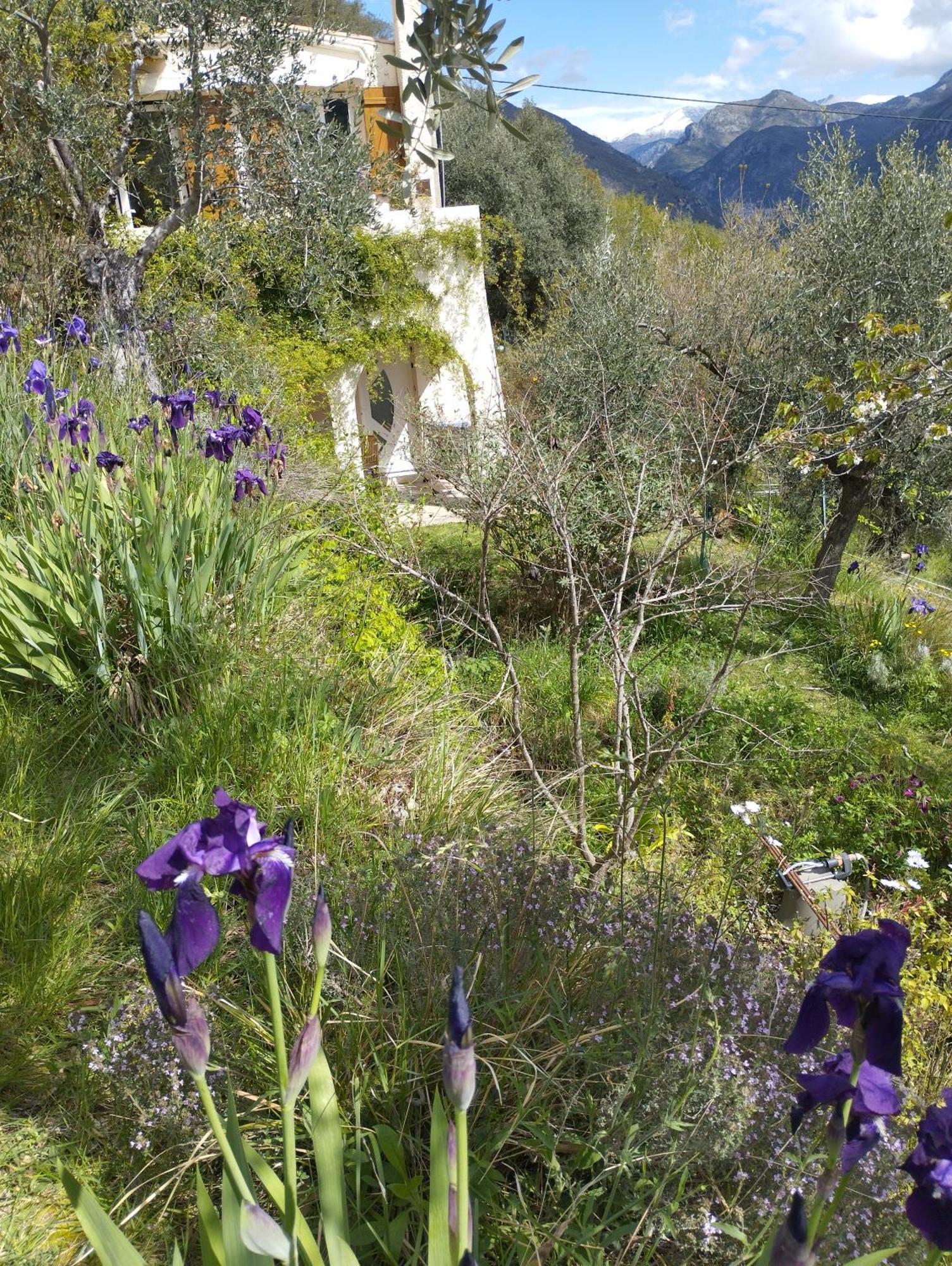 Modestie Villa Breil-sur-Roya Luaran gambar